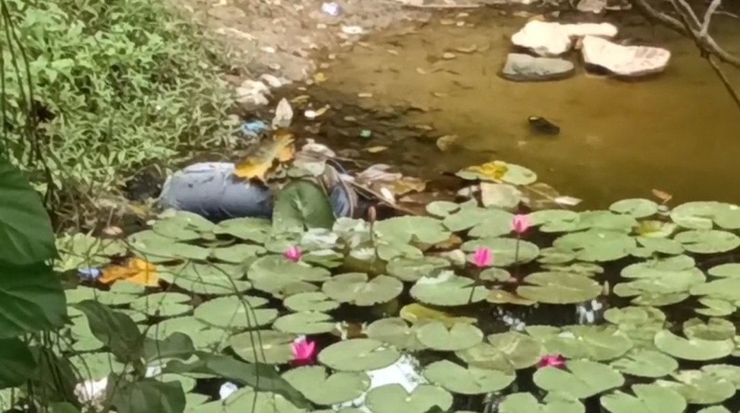 हलुदबानी तालाब में मिला अज्ञात व्यक्ति का शव