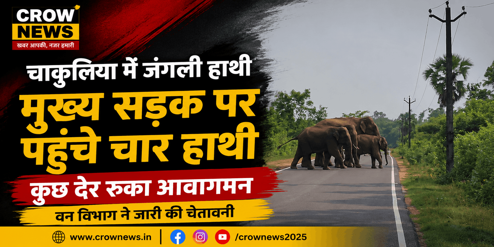चाकुलिया की मुख्य सड़क पर पहुंचे चार जंगली हाथियों का झुंड