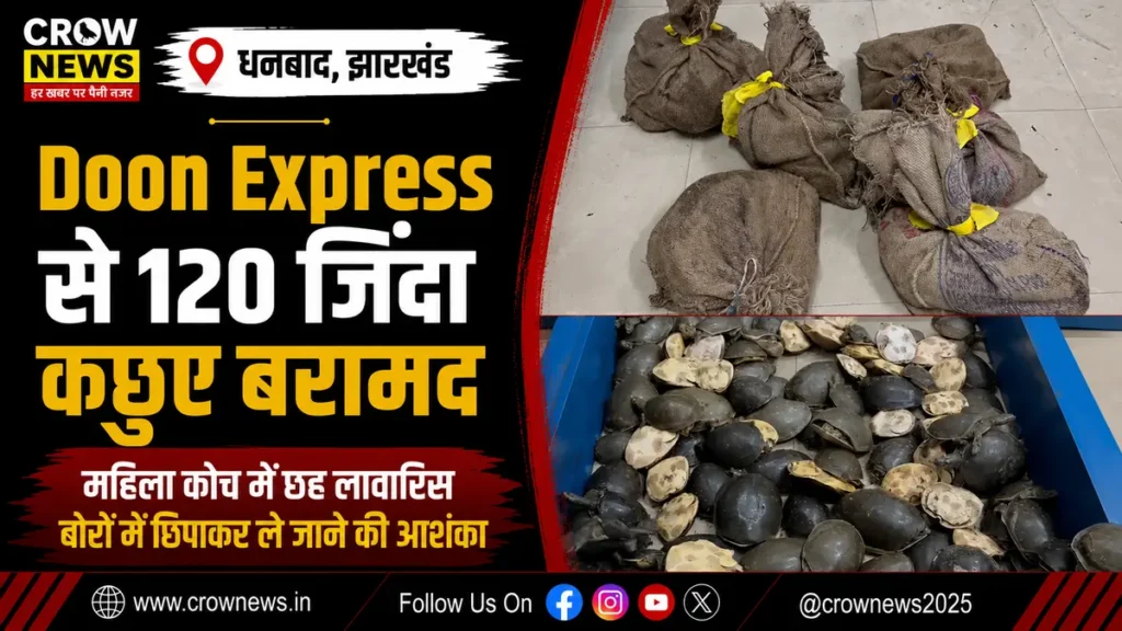 धनबाद में दून एक्सप्रेस से 120 जिंदा कछुए बरामद