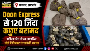 धनबाद में दून एक्सप्रेस से 120 जिंदा कछुए बरामद